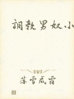 调教男奴小说网