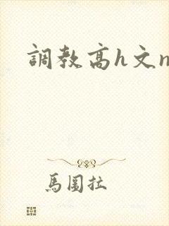 调教高h文np