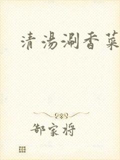 清汤涮香菜入迷