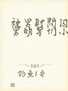 被男财阀囚禁的男明星们小说