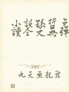 小说孙哲免费阅读全文无弹窗