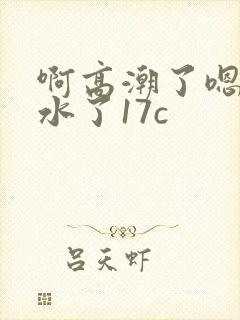 啊高潮了嗯～喷水了17c封面