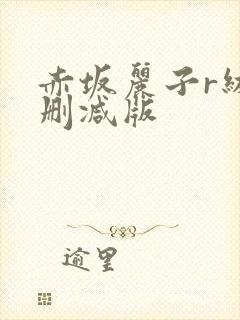 赤坂丽子r级无删减版封面