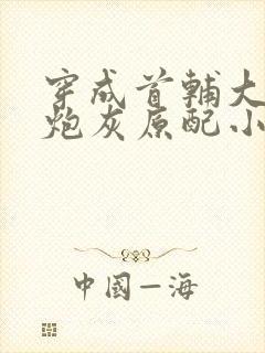 穿成首辅大人的炮灰原配小说