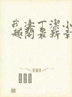 我凄丁洁小说笔趣阁最新章节更新时