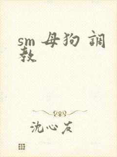 sm 母狗 调教