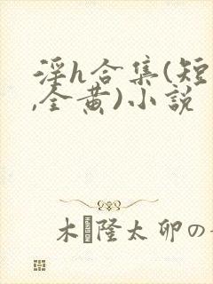 淫h合集(短文,全黄)小说