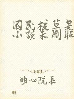 国民校草是女生小说未删版