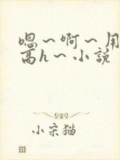 嗯～啊～用力～高h～小说封面