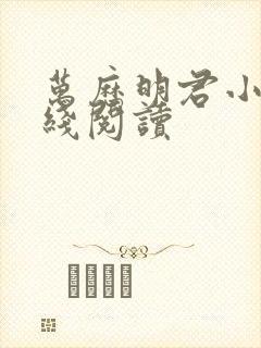 万历明君小说在线阅读封面