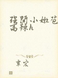 强开小嫩苞h文高辣h