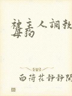 被主人调教成骚母狗