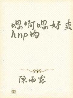 嗯啊嗯好爽啊高hnp肉