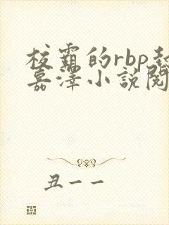 校霸的rbp封嘉泽小说阅读封面