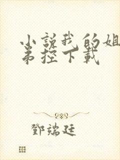 小说我的姐姐很弟控下载封面