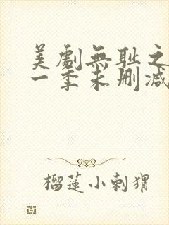 美剧无耻之徒第一季未删减版在线观看封面