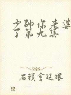 少帅你老婆又跑了第九集