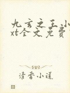 九玄之王小说txt全文免费下载