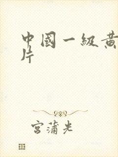中国一级黄色淫片