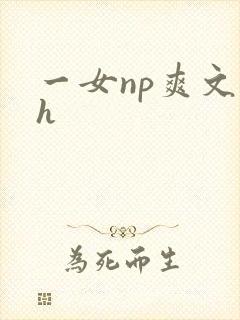 一女np爽文高h