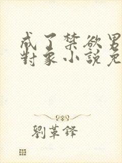 成了禁欲男主的对象小说免费阅读