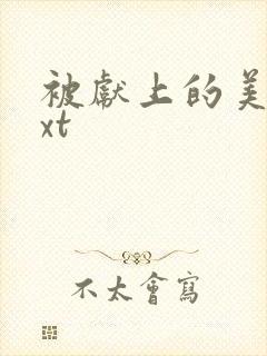 被献上的美人txt