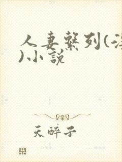 人妻系列(淫篇)小说