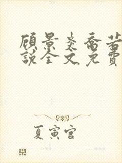 顾景炎乔若星小说全文免费阅读