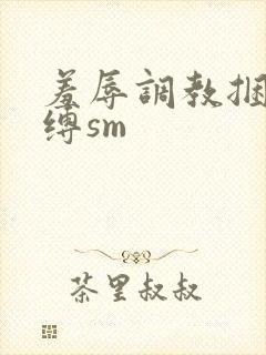 羞辱调教捆绑束缚sm