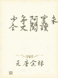 少年阿宾未删减全文阅读