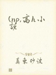 (np,高h小说