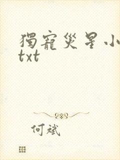 独宠灾星小夫郎txt