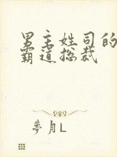 男主姓司的小说霸道总裁