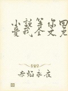 小说等你回眸说爱我全文免费阅读