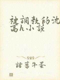 被调教的沈清清高h小说封面