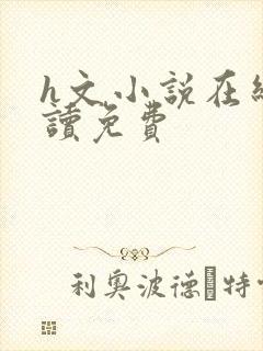 h文小说在线阅读免费