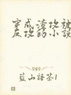 穿成渣攻被老婆反攻的小说封面