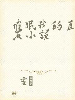 催眠我的直男室友小说