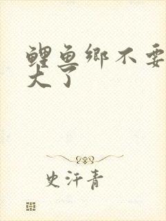 鲤鱼乡不要了太大了