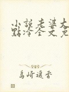 小说老婆大人有点冷全文免费阅读