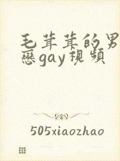 毛茸茸的男同性恋gay视频