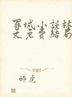 罪城小说林岚全文免费结局在线阅读封面