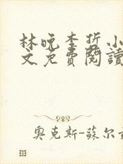 林晚李哲小说全文免费阅读封面