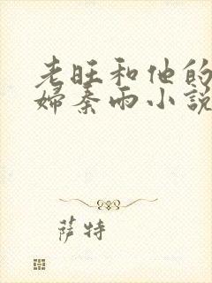 老旺和他的儿媳妇秦雨小说封面