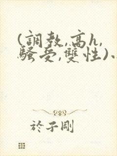 (调教,高h,骚受,双性)小说