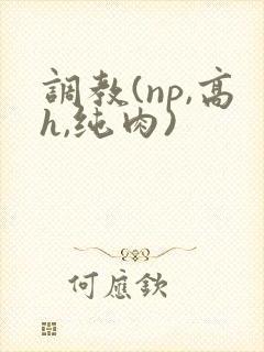 调教(np,高h,纯肉)