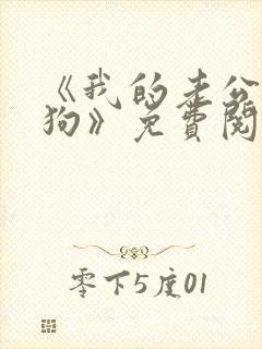 《我的老公是条狗》免费阅读