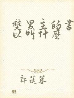 双男主的书名可以叫什么封面