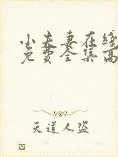 小夫妻在线观看免费全集高清完整