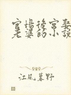 官场后宫娶很多老婆的小说